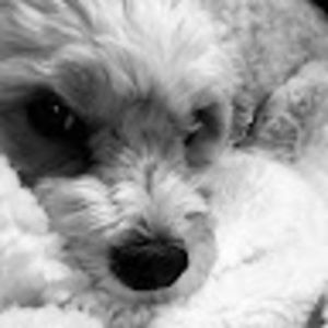 Meet your Posher, Lydia